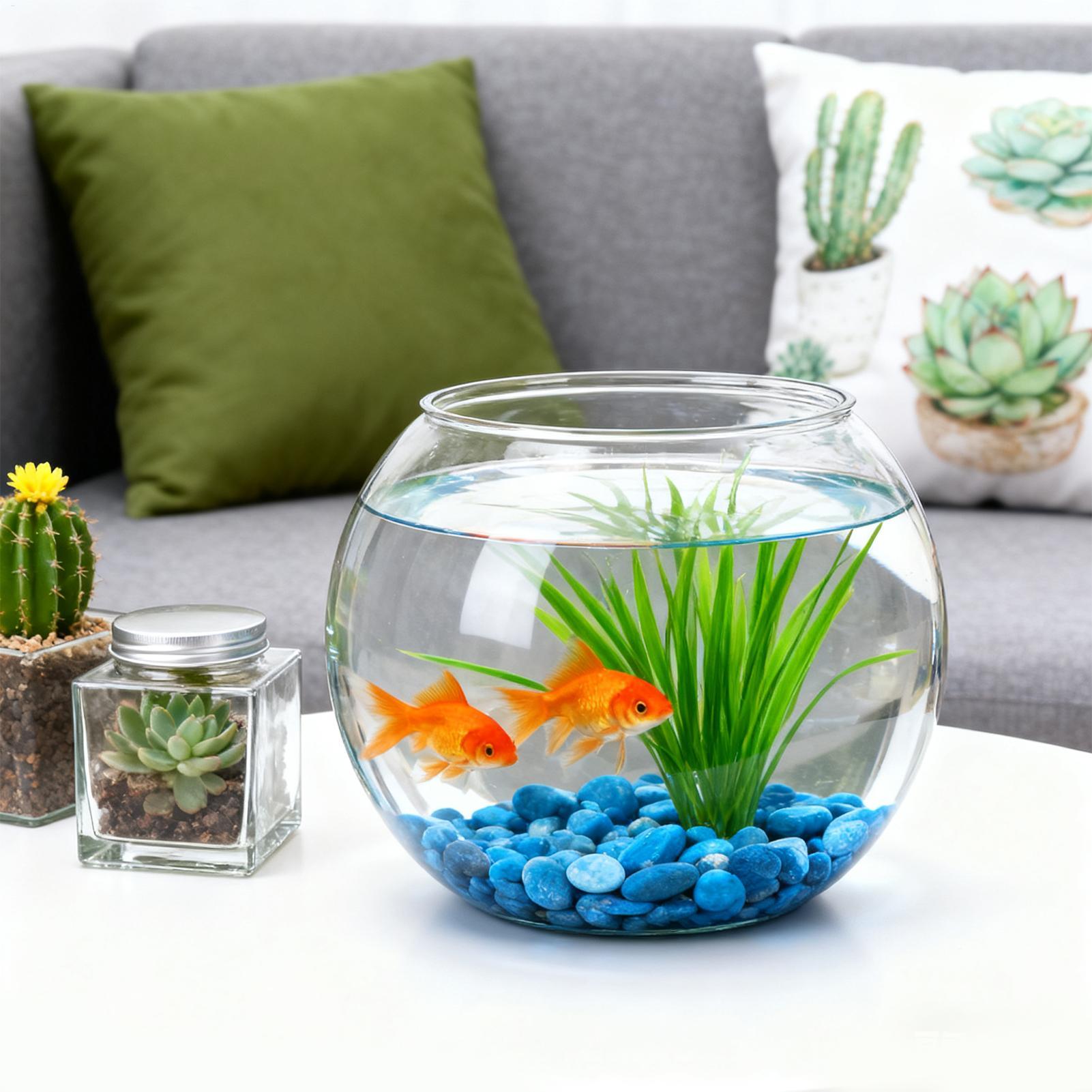 Bubble Bowl Space-Saving Aquar - Aquarium Fish In Bowl recensione e prezzo