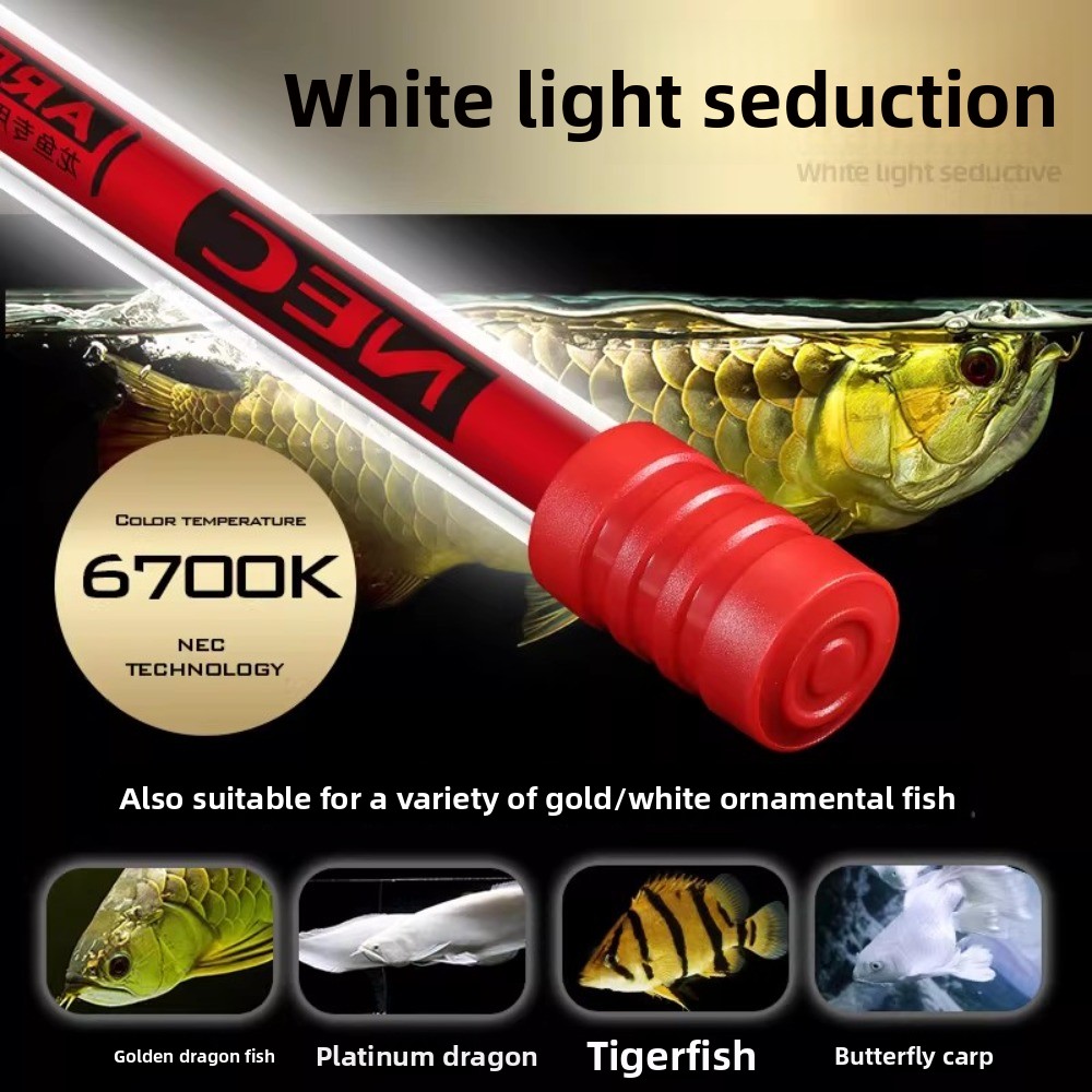 3 Primary Color Fish Tank Ligh - Aquarium Fish Goldfish recensione e prezzo