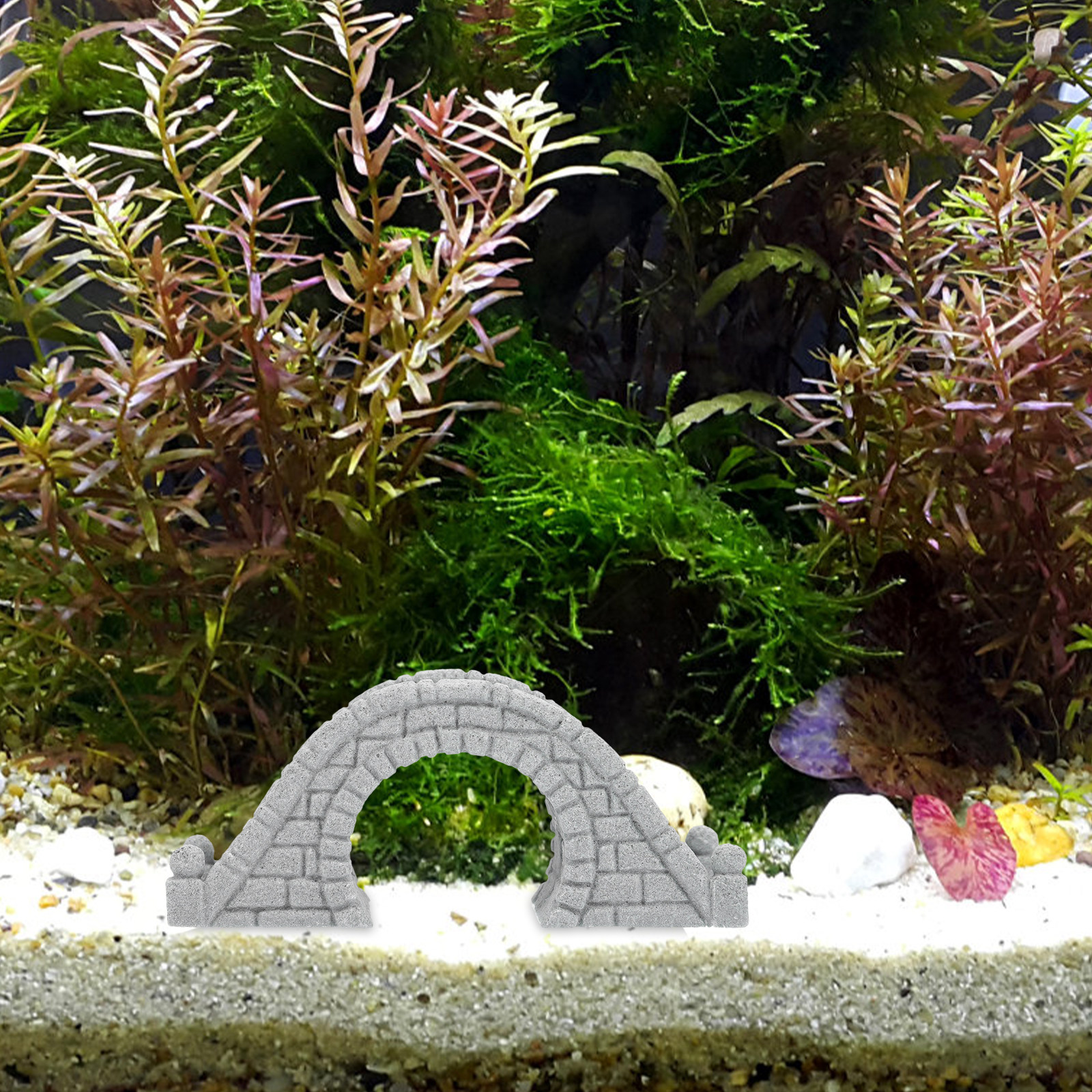 2Pcs Unique Crafted Aquarium D - Aquarium Fish Unique recensione e prezzo
