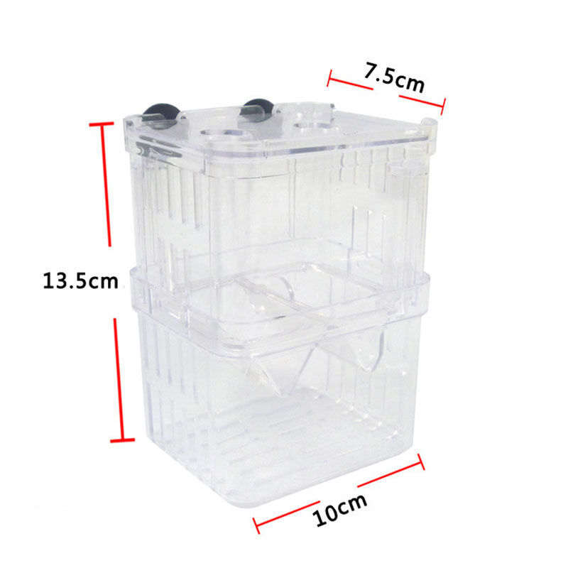 Peacock Fish Breeding Isolatio - Aquarium Fish In Bowl recensione e prezzo