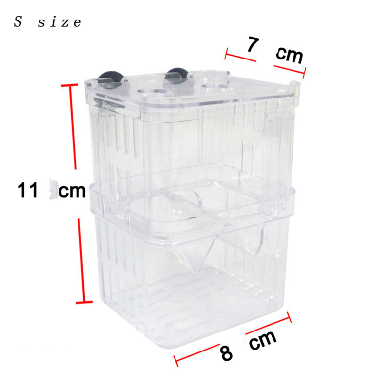Peacock Fish Breeding Isolatio - Aquarium Fish In Bowl recensione e prezzo