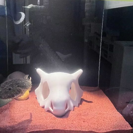 3D Printed FIsh Shrimp Reptile - Aquarium Fish Hide recensione e prezzo