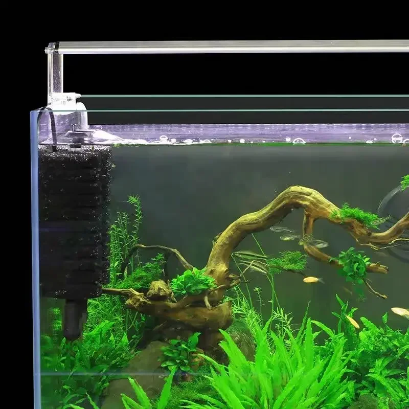 3-IN-1 Clip on Electric Power  - Aquarium Fish Ball recensione e prezzo
