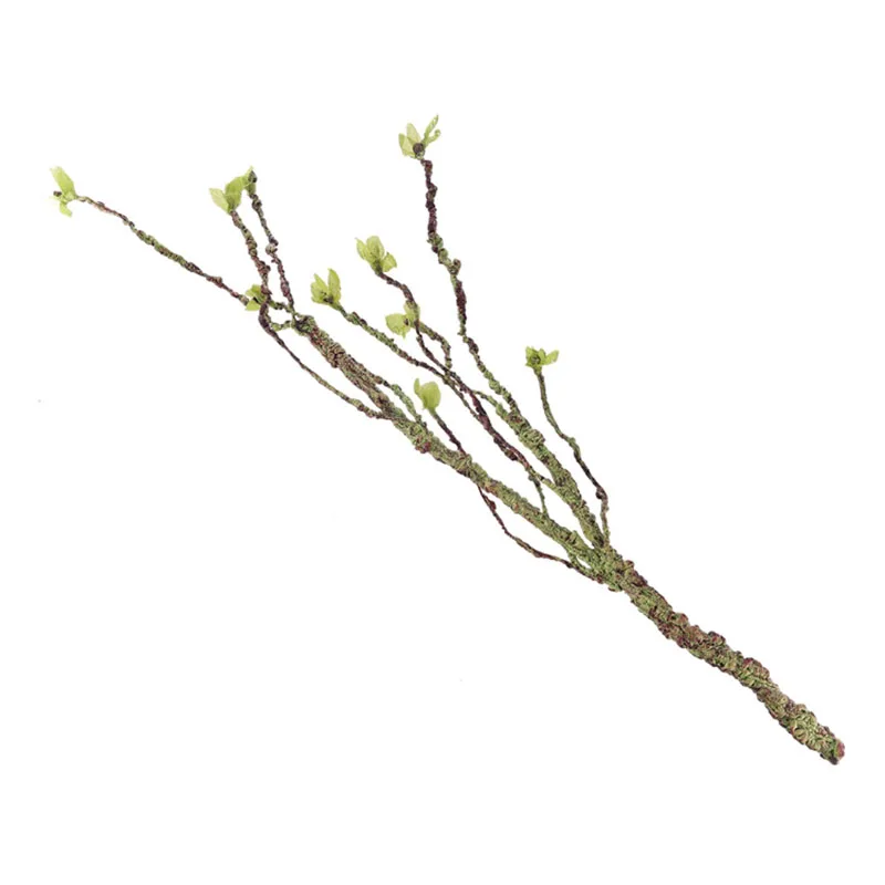 Vines Decor Climbing Branches  - Aquarium Fish Cartoon recensione e prezzo