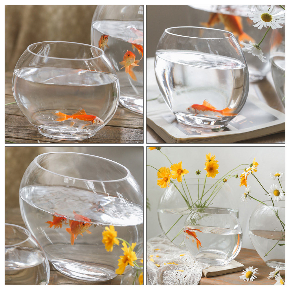 Elegant Clear Glass Fish Tank  - Aquarium Fish Goldfish recensione e prezzo