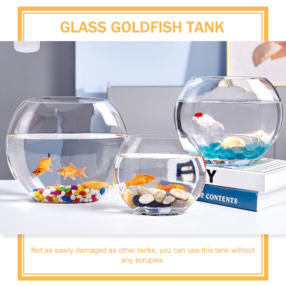 Elegant Clear Glass Fish Tank  - Aquarium Fish Goldfish recensione e prezzo