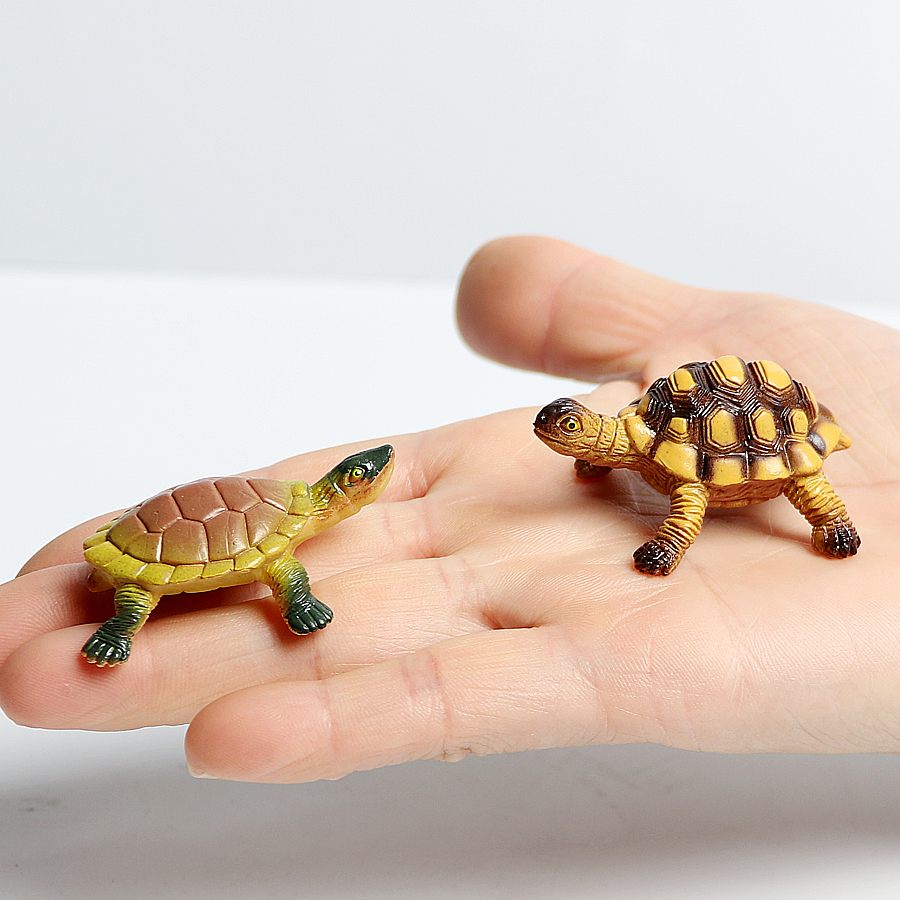 Realistic Miniatures Marine Li - Aquarium Fish Cartoon recensione e prezzo